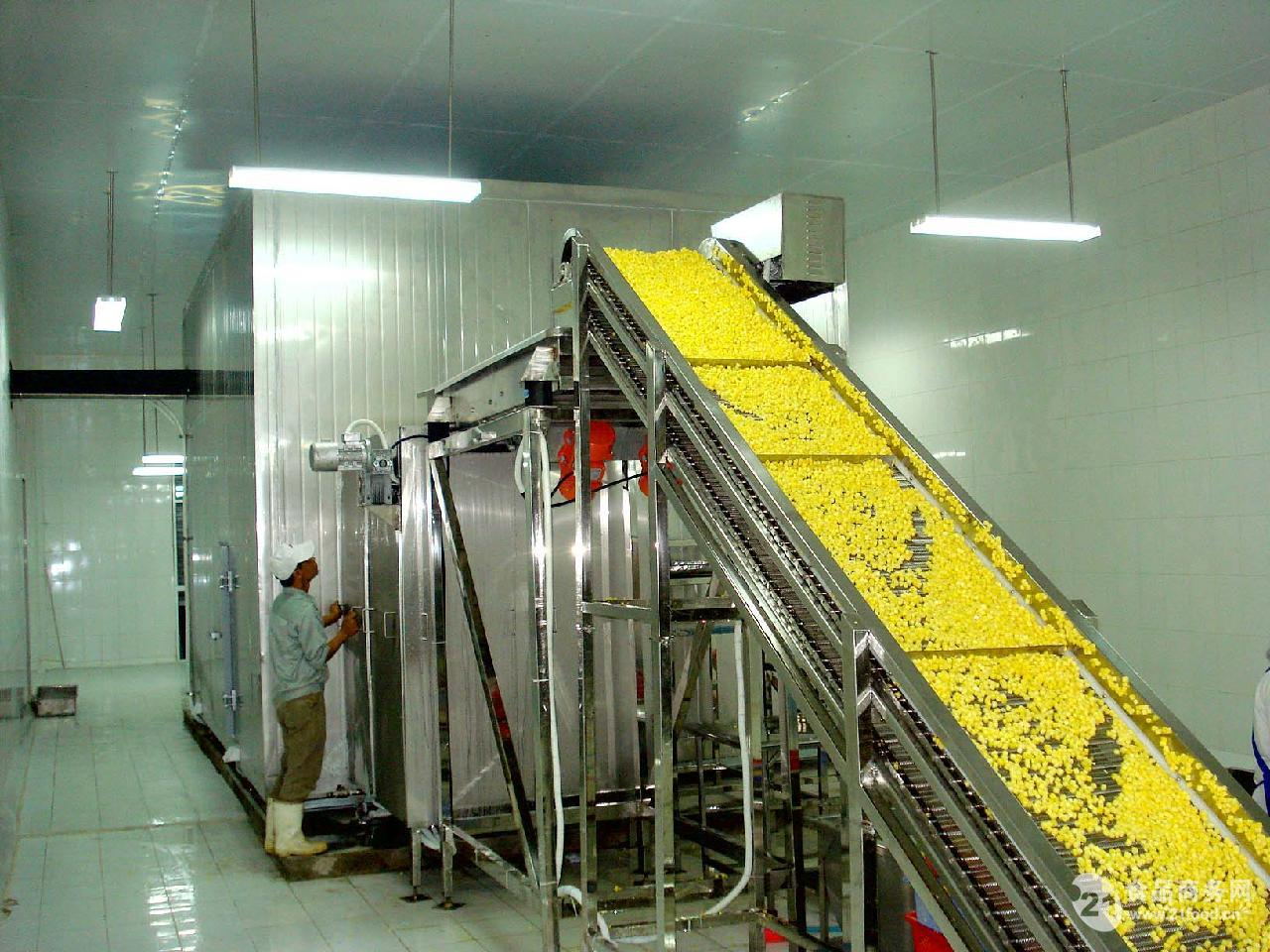 流态化速冻机在速冻黄桃水果行业的应用